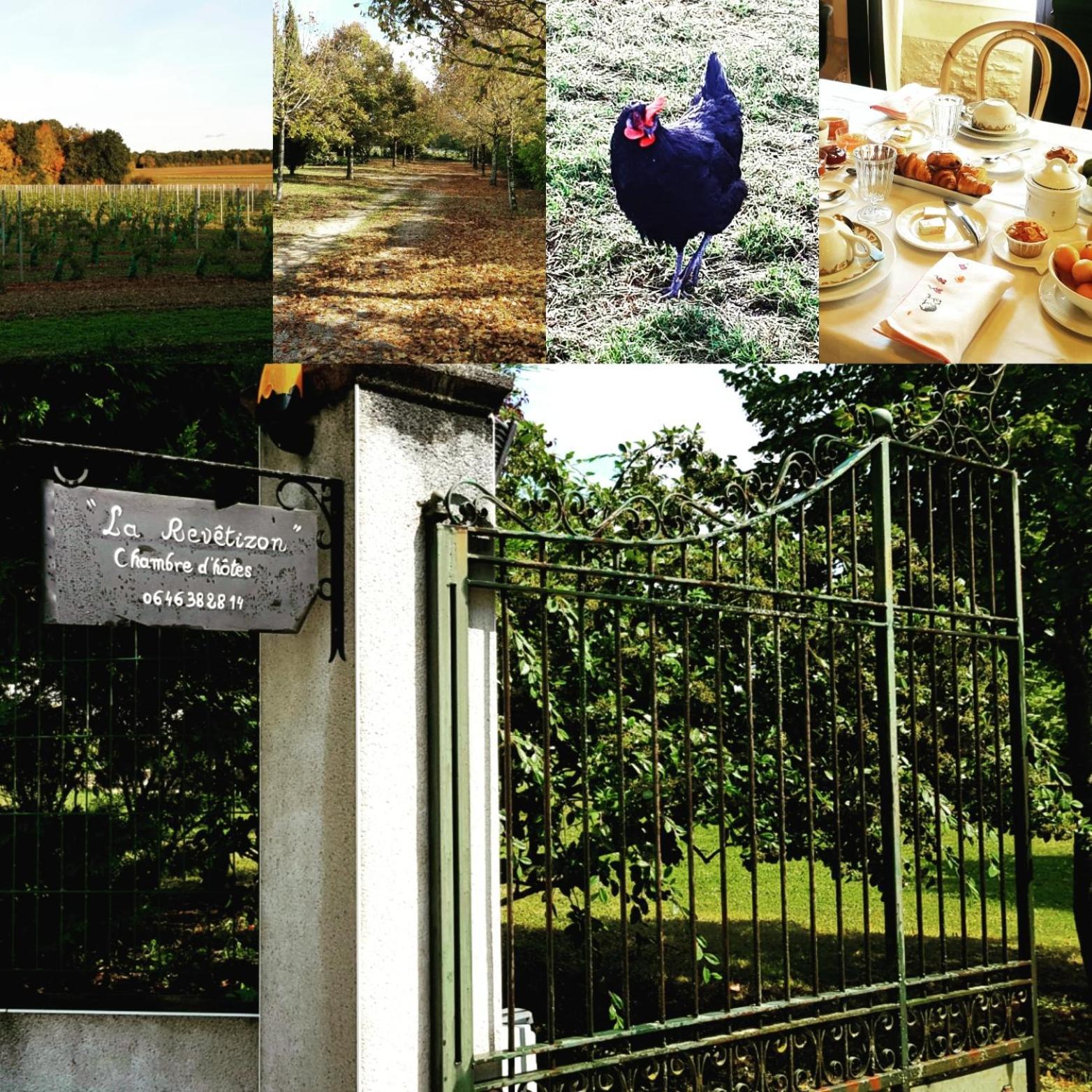 Bed and Breakfast La Revetizon Siecq Exterior foto